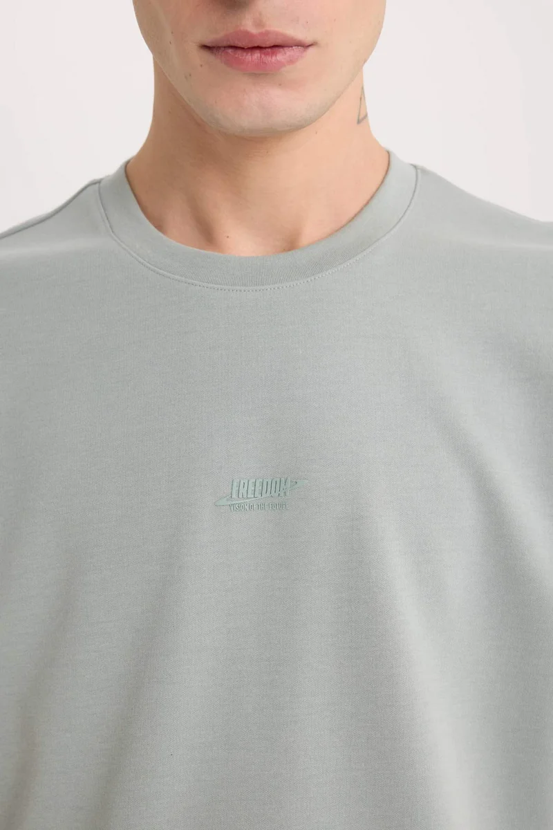 Defacto  Boxy Fit Crew Neck Printed Heavy Fabric T-Shirt for Men | Best Price UAE
