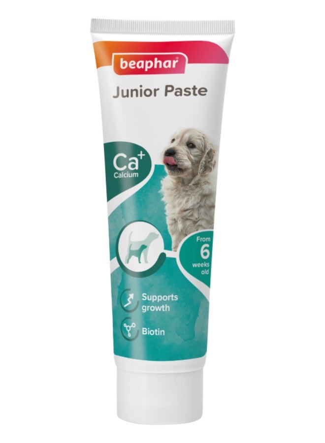 بيفار معجون جونيور للكلاب 100 جرام - Image 1