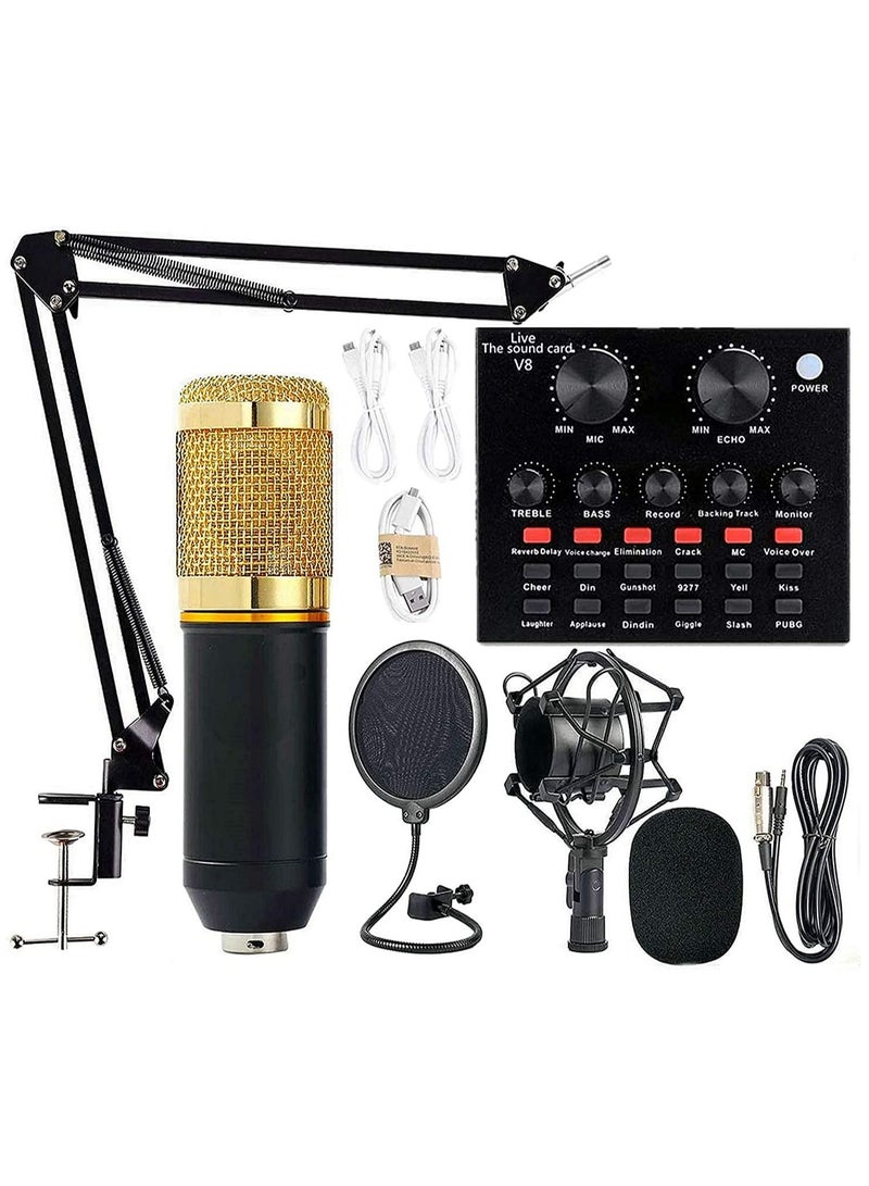 Professional Condenser Microphone With V8S Live Sound Card And Studio Recording Broadcasting Set Black/Gold - Image 1