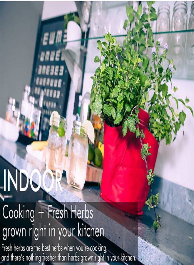 Multi-port  strawberry planting bag 3-port 6-port 8-port plant bag felt cloth fragrant grass bag color planting bag - Image 2