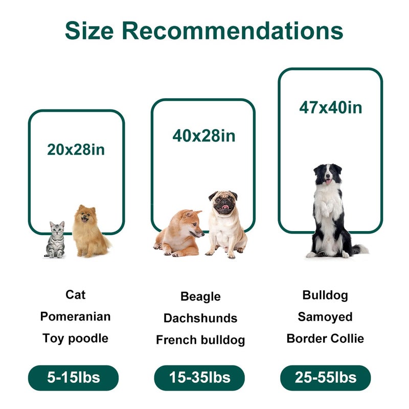Onarway Dog Blanket Washable for Bed: 2 Packs Dog Blankets 40â€x47â€ - Fluffy Soft Large Throw for Cat Puppy Kitten Dogs - Fleece Pet Blankets for Crate Couch Car and Indoor - Grey - Image 3