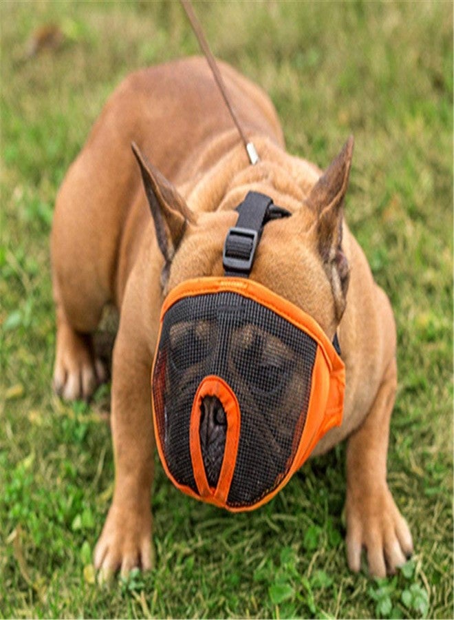Pets Empire Short Snout Dog Muzzle- Adjustable Breathable Mesh Bulldog Muzzle for Biting Chewing Barking Training Dog Mask (9"-12") Small.-1 Piece Color May Vary - Image 1