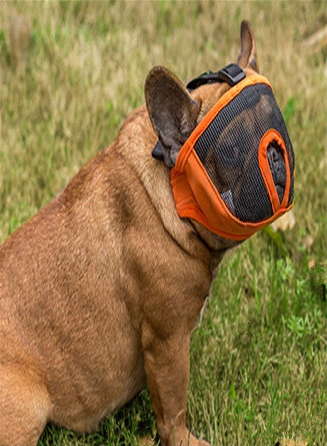 Pets Empire Short Snout Dog Muzzle- Adjustable Breathable Mesh Bulldog Muzzle for Biting Chewing Barking Training Dog Mask (9"-12") Small.-1 Piece Color May Vary - Image 2