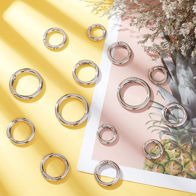 PH PandaHall PH PandaHall 16 Pcs Spring O Ring Round Carabiner Snap Clip Hook Trigger Spring Keyring Buckle 4 Styles for Bags Purses Keychain Platinum - Image 2