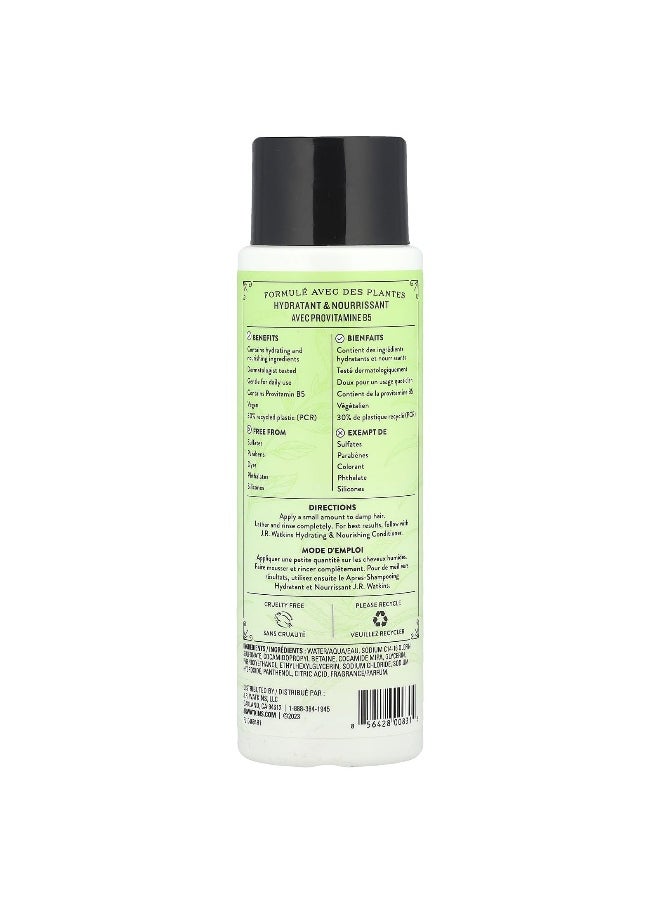 J.R.WATKINS J R Watkins, Shampoo, Aloe & Green Tea, 12 fl oz (354 ml)  - Image 2
