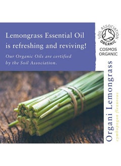 Absolute Aromas Organic Lemongrass Essential Oil 10Ml  - Image 3