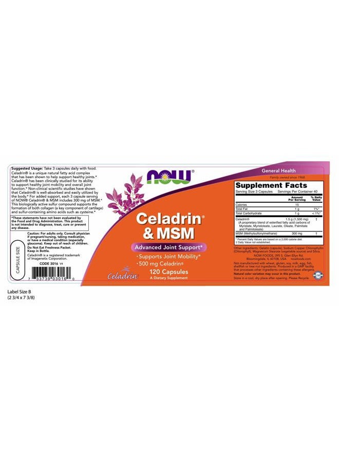 now Celadrin® and MSM 500mg 120 Capsules (Pack of 2) - Image 2