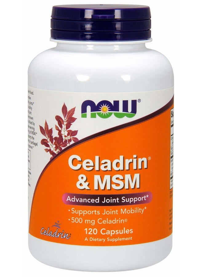 now Celadrin® and MSM 500mg 120 Capsules (Pack of 2) - Image 1