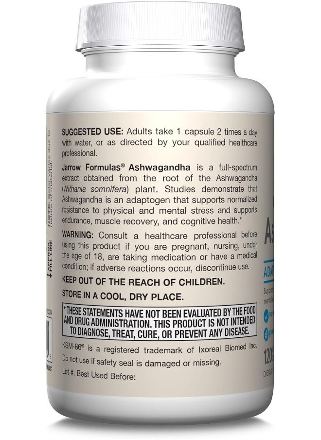 Ashwagandha 300 Mg 120 Veggie Caps - pzsku/Z03995605A0A55136EB67Z/45/_/1725282073/e45388fe-e278-4f62-bc22-687fa8f57972