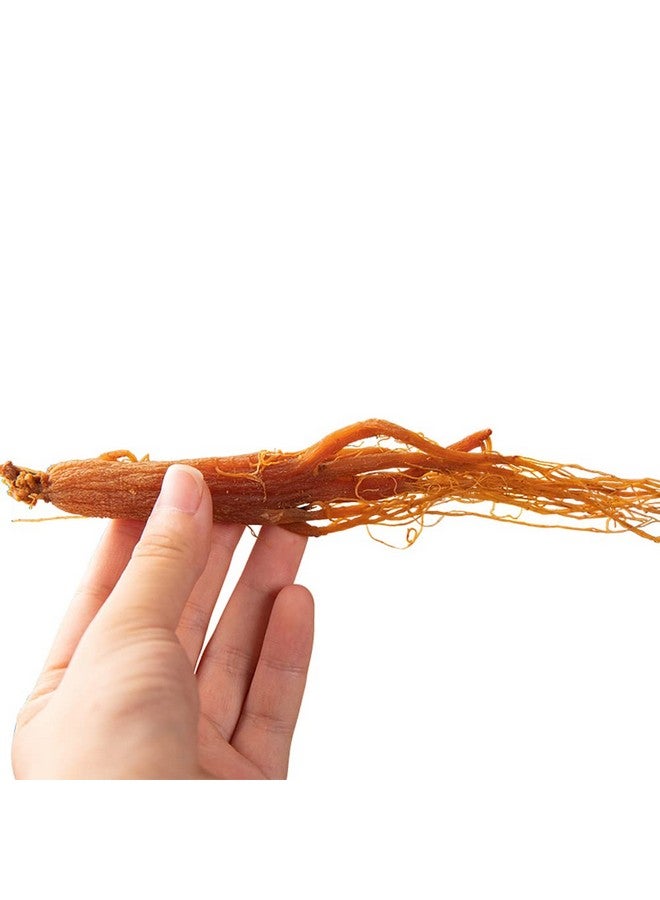 Red Ginseng Roots Whole Root Pieces - Red Panax Ginseng Roots Ginseng Red Ginseng Korean Red Ginseng Supplement Red Ginseng Tea Energy Chews (500 Grams /1.10 lbs) - Image 2