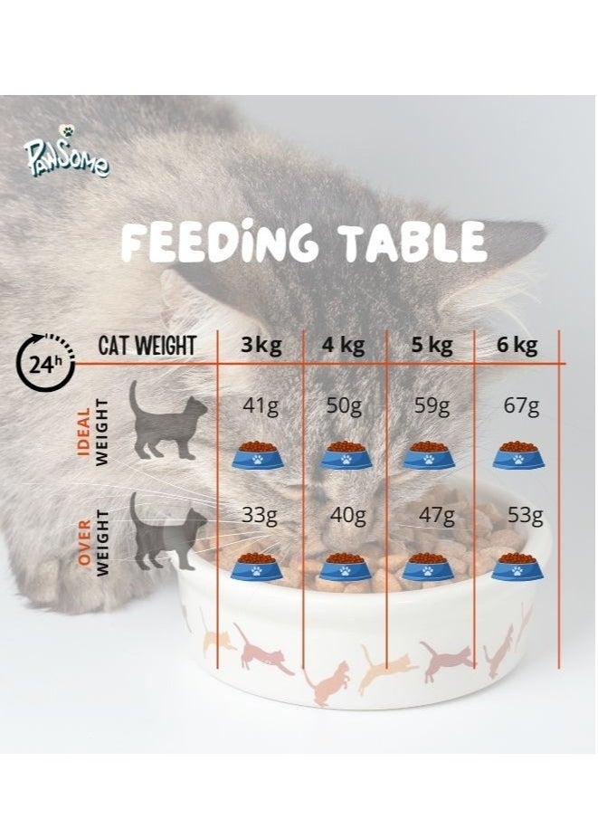 PAWSOME - Dry Cat Food - 10 kg Seafood Flavor, Natural Fiber, Taurine and Crunchy Texture - Image 1