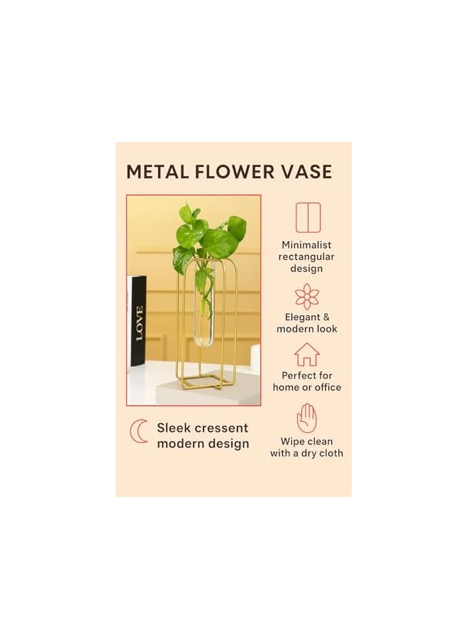 The Bros Glass Test Tube Vase with Metal Frame | Test Tube Flower Vase for Home Decor | Flower Vase with Stand for Home Decoration Items Living Room Corner Table - Image 2
