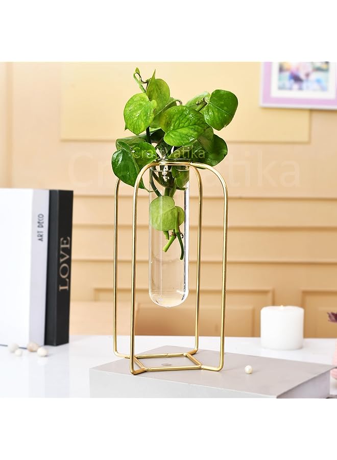 The Bros Glass Test Tube Vase with Metal Frame | Test Tube Flower Vase for Home Decor | Flower Vase with Stand for Home Decoration Items Living Room Corner Table - Image 1