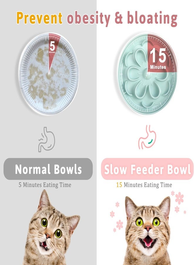 Funnymoom وعاء طعام للقطط من قطعتين من Funnymoom، وعاء طعام لطيف بتصميم زهور، نظام غذائي صحي، وعاء تفاعلي رطب للحيوانات الأليفة والكلاب الصغيرة (وردي، أخضر) - Image 5