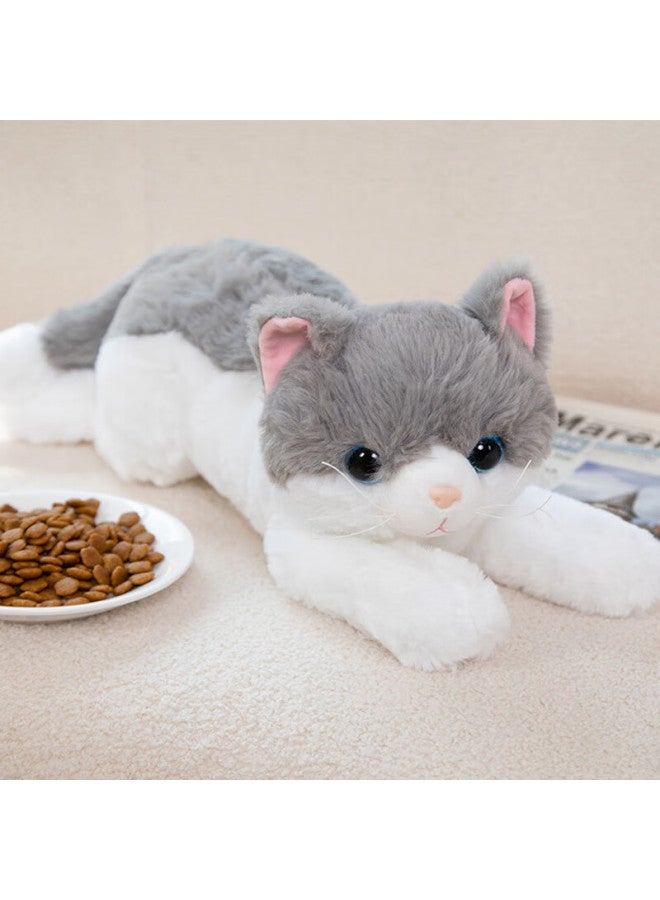 Weltston Plush Toy Cat Doll Stuffed Animal Birthday Gift For Girls, Gray Jili Cat 50cm - Image 3