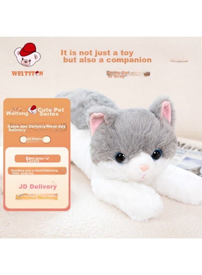 Weltston Plush Toy Cat Doll Stuffed Animal Birthday Gift For Girls, Gray Jili Cat 50cm - Image 1