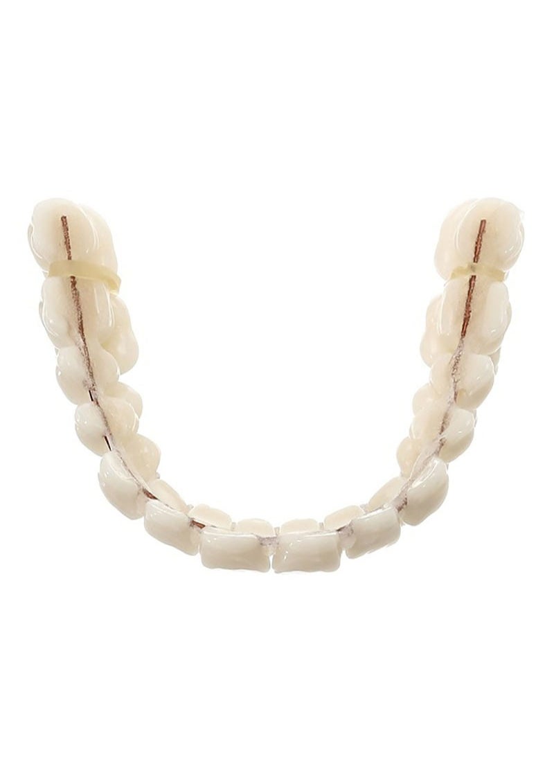 HaLunhi Resin Dentures, Dental Teaching Models, Resin Dentures For Patients With Missing Oral Cavity, Dental Supply Accessories (A Set Of Upper And Lower Teeth)  - Image 5