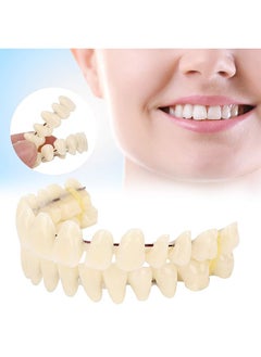 HaLunhi Resin Dentures, Dental Teaching Models, Resin Dentures For Patients With Missing Oral Cavity, Dental Supply Accessories (A Set Of Upper And Lower Teeth)  - Image 2