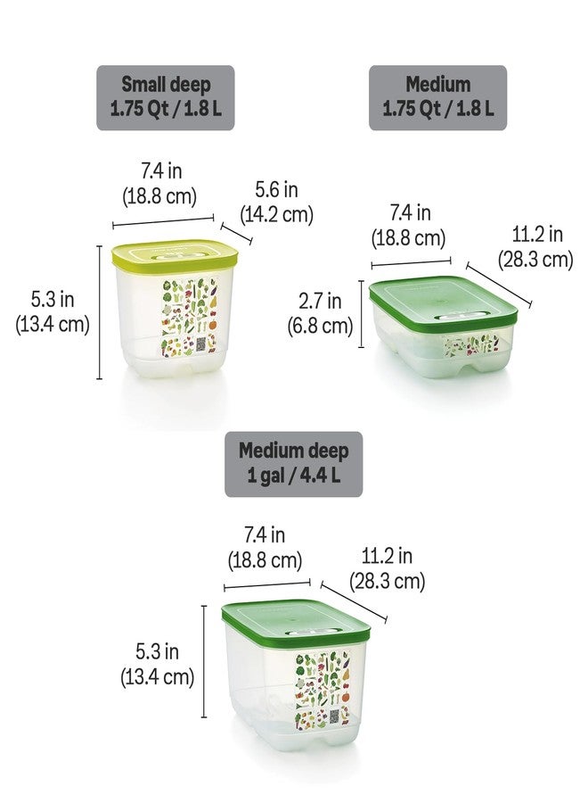 Tupperware Fridgesmart 4 Piece Food Storage Container Set, Dishwasher Safe and BPA Free (4 Containers, 4 Lids) - Image 3