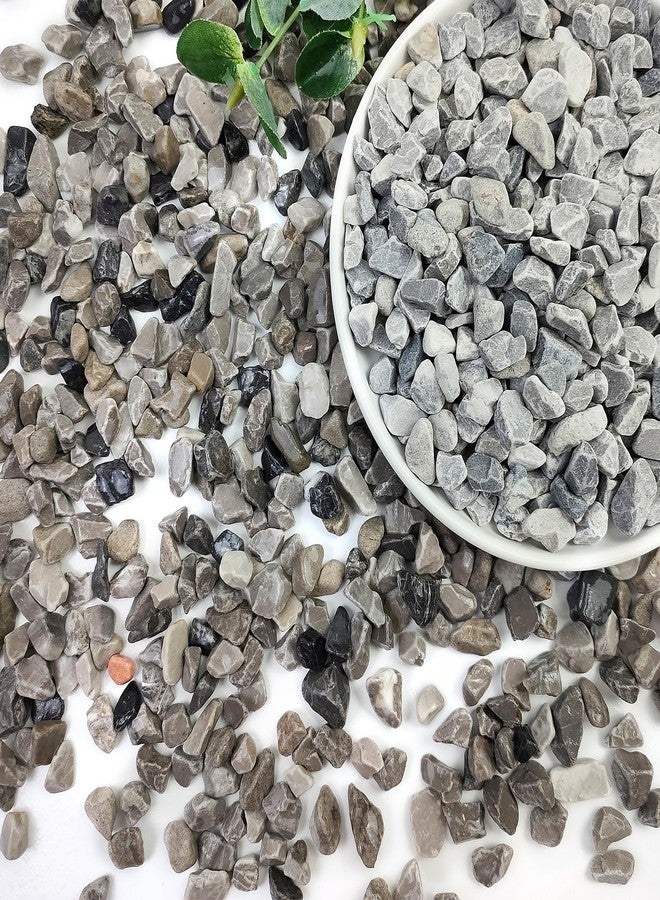 SHIZWU 2lbs Grey Pebbles for Landscaping, 3/8inch Small Rocks for Succulent Cactus Plants, Natural Polished Pebbles, River Rocks for Plants, Vases, Gardening - Image 1