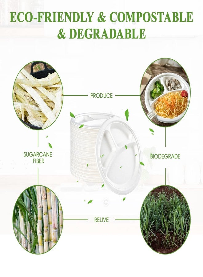 Vplus 100% Compostable Paper Plates, 500 Pack 10 Inch 3 Compartment Plates Disposable, Heavy Duty Biodegradable, Made of Sugar Cane Fibers, for Daily meals, Dinner, Parties, BBQ - Image 5