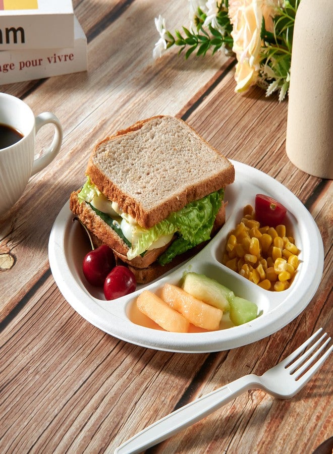 Vplus 100% Compostable Paper Plates, 500 Pack 10 Inch 3 Compartment Plates Disposable, Heavy Duty Biodegradable, Made of Sugar Cane Fibers, for Daily meals, Dinner, Parties, BBQ - Image 4