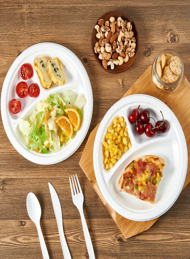 Vplus 100% Compostable Paper Plates, 500 Pack 10 Inch 3 Compartment Plates Disposable, Heavy Duty Biodegradable, Made of Sugar Cane Fibers, for Daily meals, Dinner, Parties, BBQ - Image 2