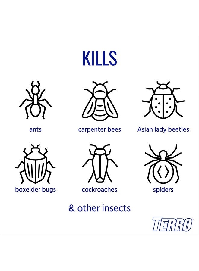 سبراي قاتل النمل الخارجي TERRO T1700 سعة 19 أونصة، عبوة واحدة - Image 2