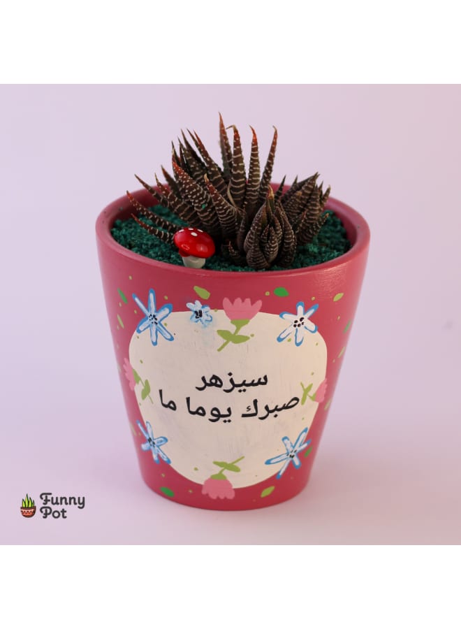 بوت صبار طبيعي