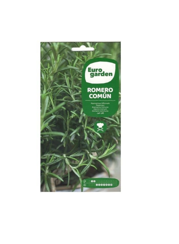 KNP EG Comun Rosemary Seeds