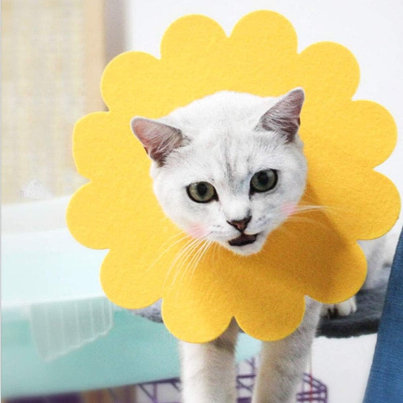 5pcs Pet Cat Recovery Collar Yellow Flower, Soft Cone Large - Wound Healing Protection, Anti Bite and Lick, Comfortable for Post Surgery Care (XS) - Image 3