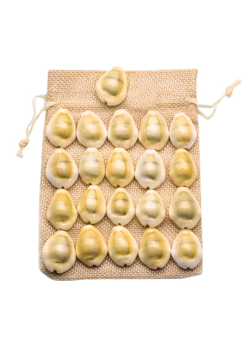 Plus Value Plus Value Yellow Lakshmi Kaudi Peeli Kowdi Cowrie Sea Shell 21 pcs Vastu Shastra Remedies for Lakshmi Diwali Pooja Astrology 