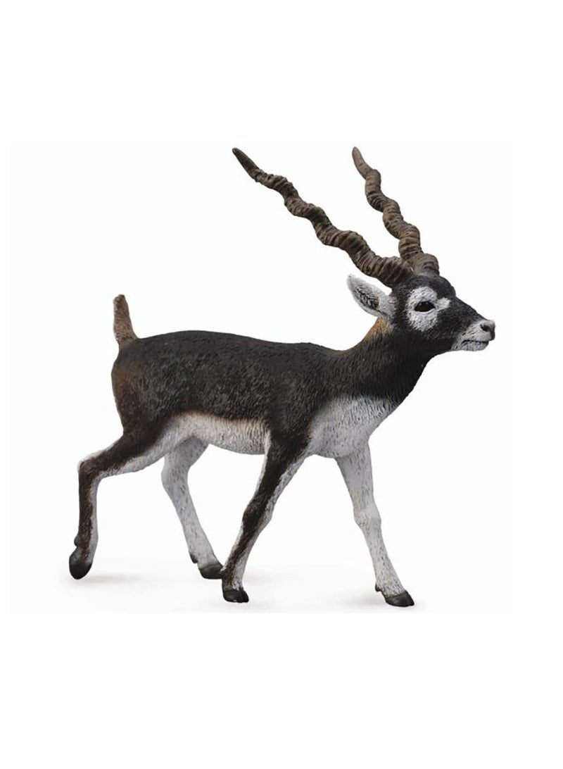 Collecta - Blackbuck - 88638
