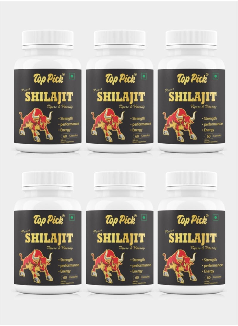 Power Shilajit Vigour & Vitality Pack of 6 - pzsku/Z03A364A30165E550DA95Z/45/_/1729598074/890192fb-c5e3-41da-b1ab-e8f021b1fb5c