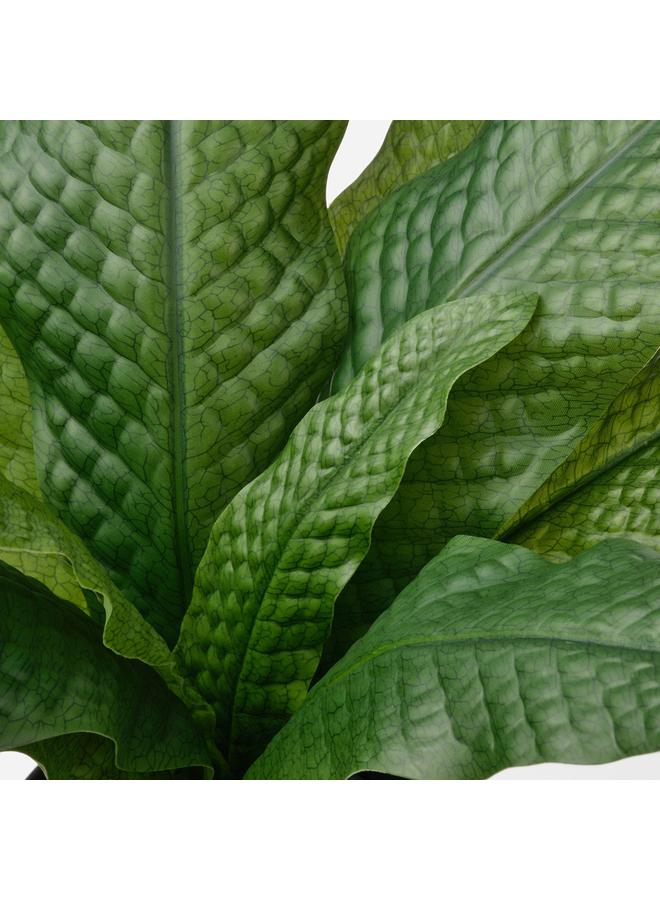 erorex Artificial Potted Plant, In/Outdoor Crocodile Fern, 12 Cm - Image 4