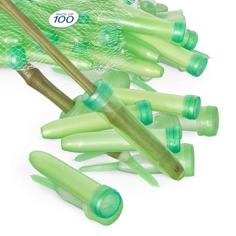 Royal Imports Royal Imports Floral Water Tubes with Caps  3 Green Plastic Flower Vials for Single Stem Roses Buds Bouquets  Standard Style 12 Opening  100 Pack 
