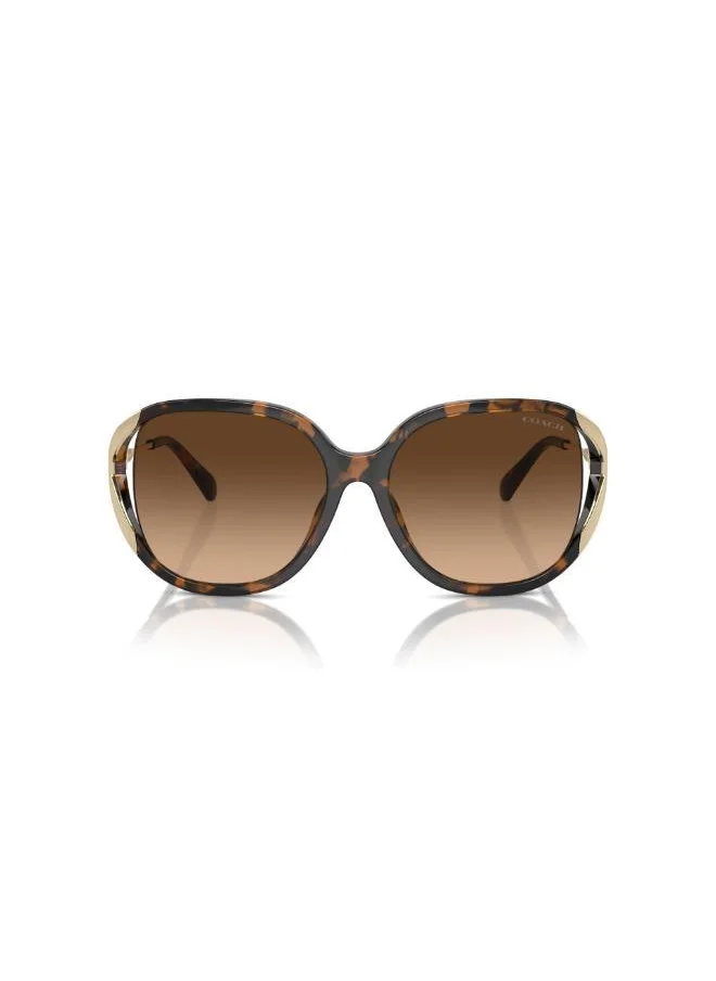 كوتش Square Sunglasses