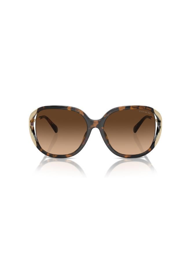 COACH Hc8396U Square Sunglasses  - Image 1