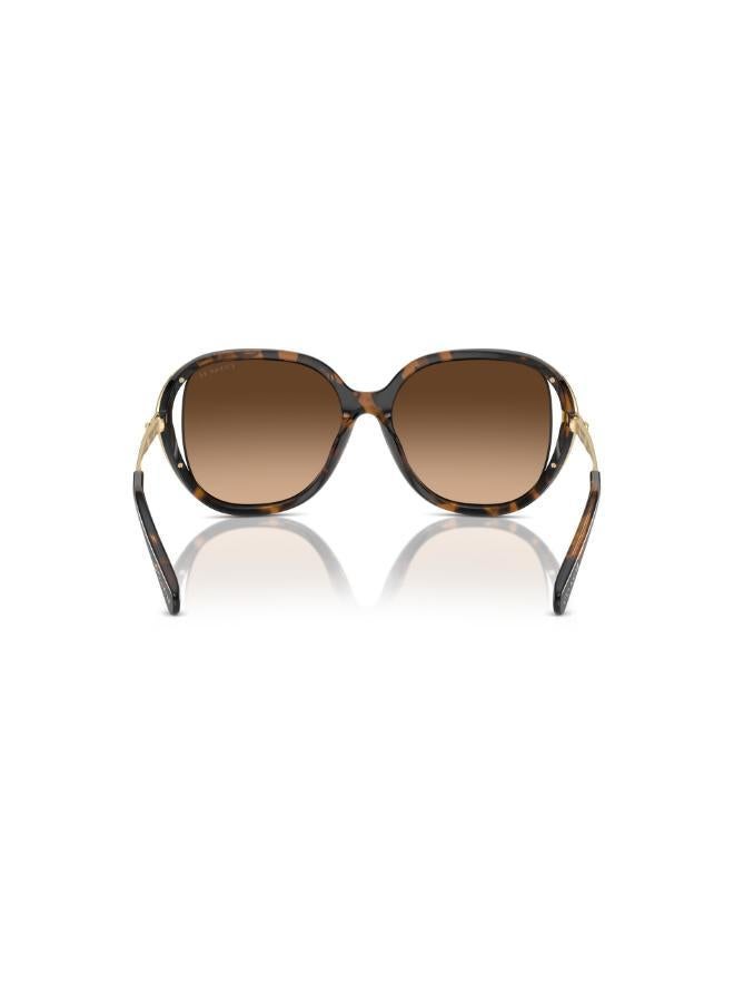 COACH Hc8396U Square Sunglasses  - Image 2