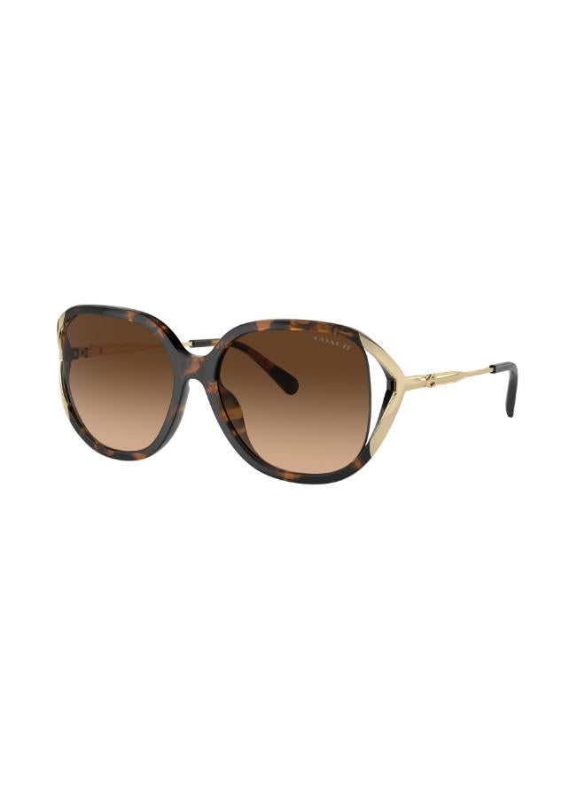 COACH Hc8396U Square Sunglasses  - Image 3