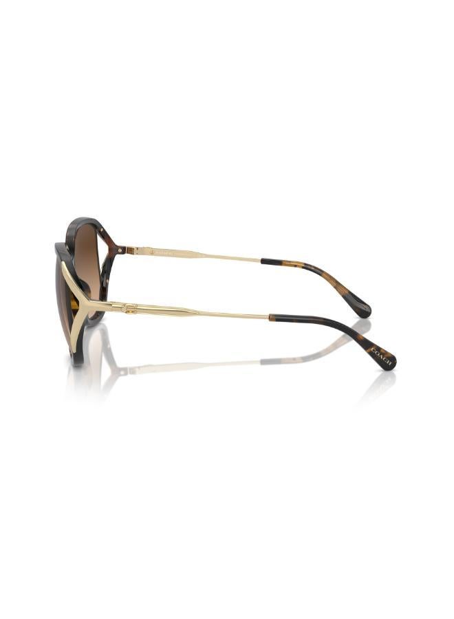 COACH Hc8396U Square Sunglasses  - Image 4