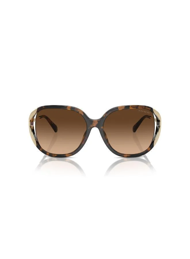 كوتش نظارة شمسية مربعة