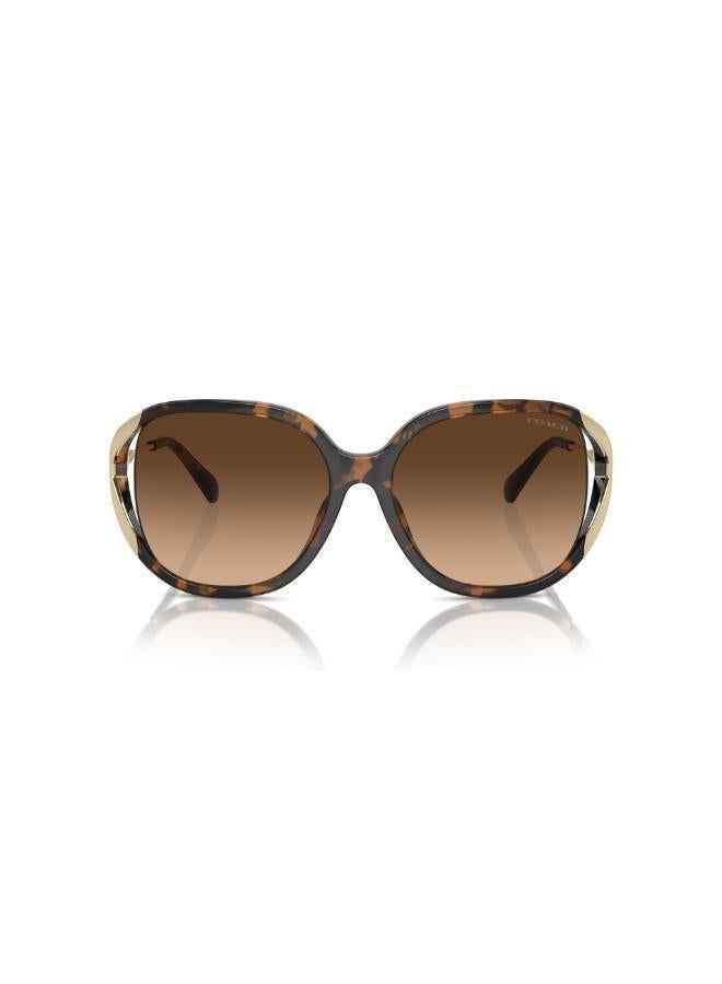 كوتش نظارة شمسية مربعة - Image 1