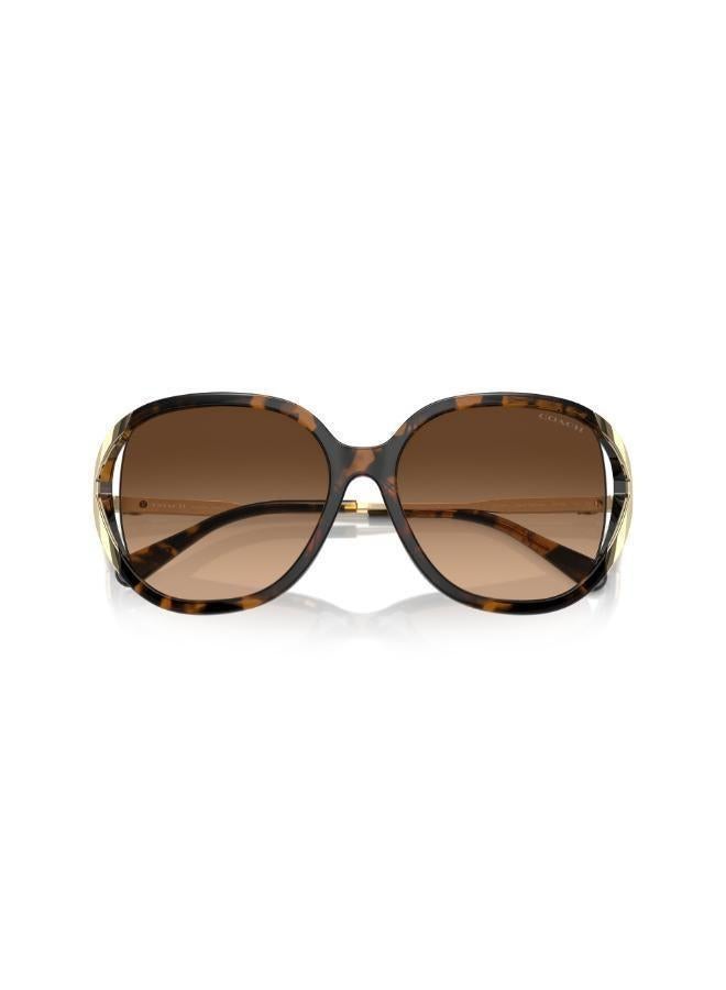 كوتش نظارة شمسية مربعة - Image 5