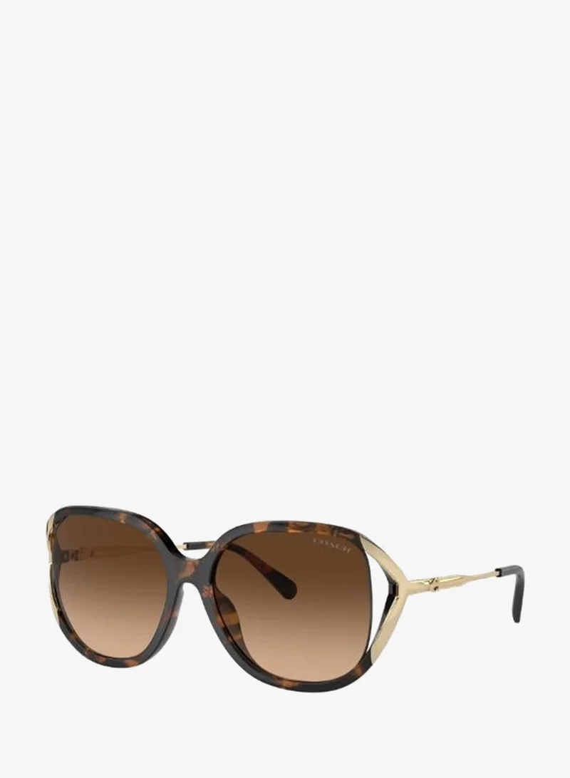 Coach  Square Sunglasses for Women | Best Price UAE