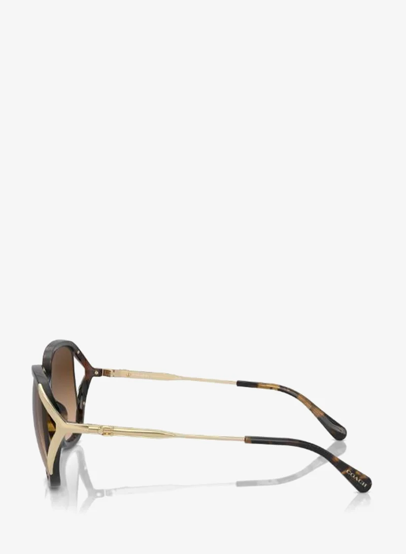 Coach  Square Sunglasses for Women | Best Price UAE