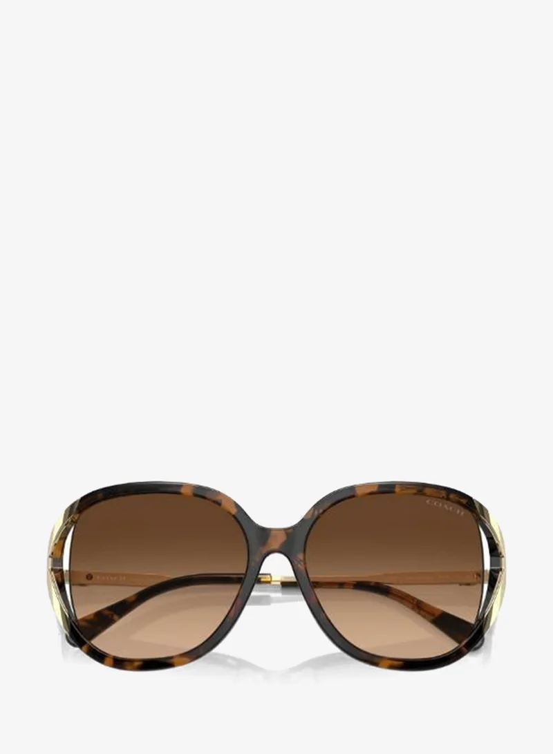 Coach  Square Sunglasses for Women | Best Price UAE