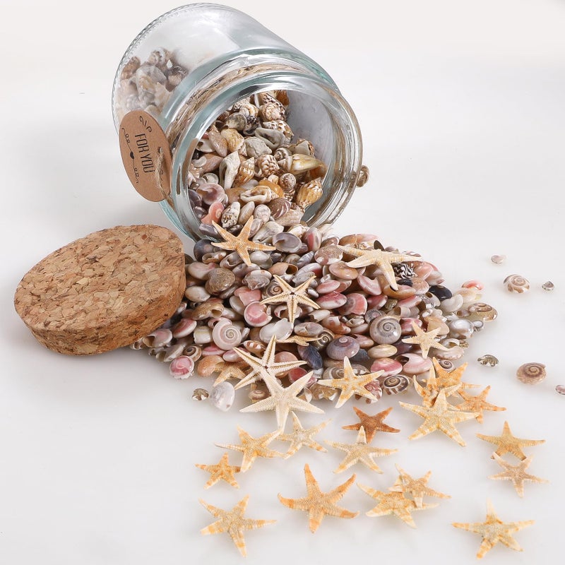 PPCLION 60pcs Tiny Starfish 1800 Pcs Tiny Mini Small Sea Shells for Crafting Spiral Conch Shells for Crafts Charms for Home Decorations Candle Decor DIY Fish Tank and Beach Vase Filler - Image 3