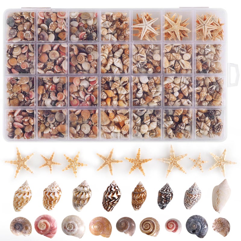 PPCLION 60pcs Tiny Starfish 1800 Pcs Tiny Mini Small Sea Shells for Crafting Spiral Conch Shells for Crafts Charms for Home Decorations Candle Decor DIY Fish Tank and Beach Vase Filler - Image 1