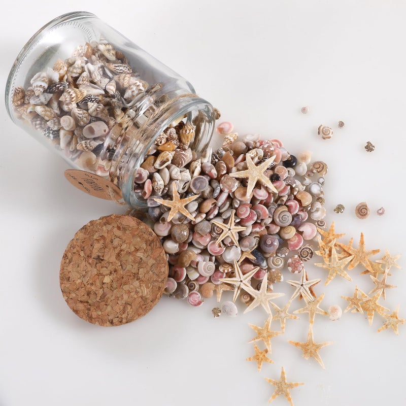 PPCLION 60pcs Tiny Starfish 1800 Pcs Tiny Mini Small Sea Shells for Crafting Spiral Conch Shells for Crafts Charms for Home Decorations Candle Decor DIY Fish Tank and Beach Vase Filler - Image 4
